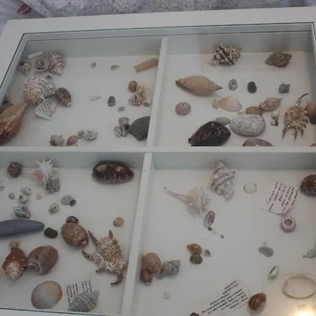 Villa Lovely In The Gorgeous Porto Hydra Thermisía