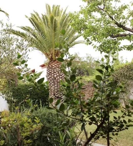 Villa Lovely In The Gorgeous Porto Hydra *