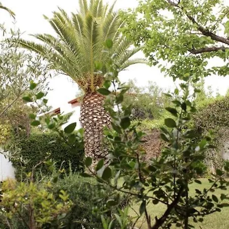 Willa Lovely In The Gorgeous Porto Hydra *