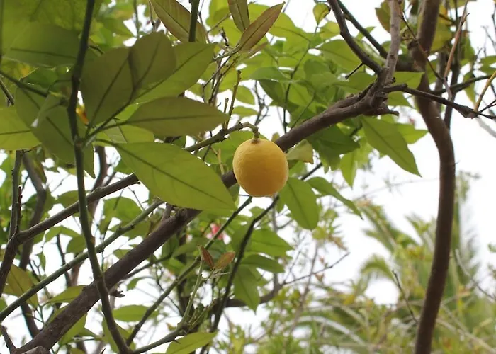 Lovely In The Gorgeous Porto Hydra